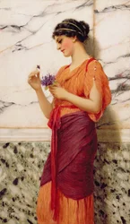Veilchen, 1908